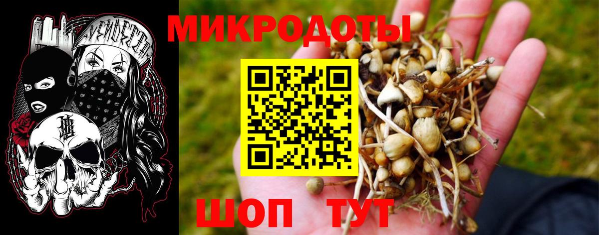 Раменское  Галлюциногенные грибы прущие грибы  Вход с VPN 